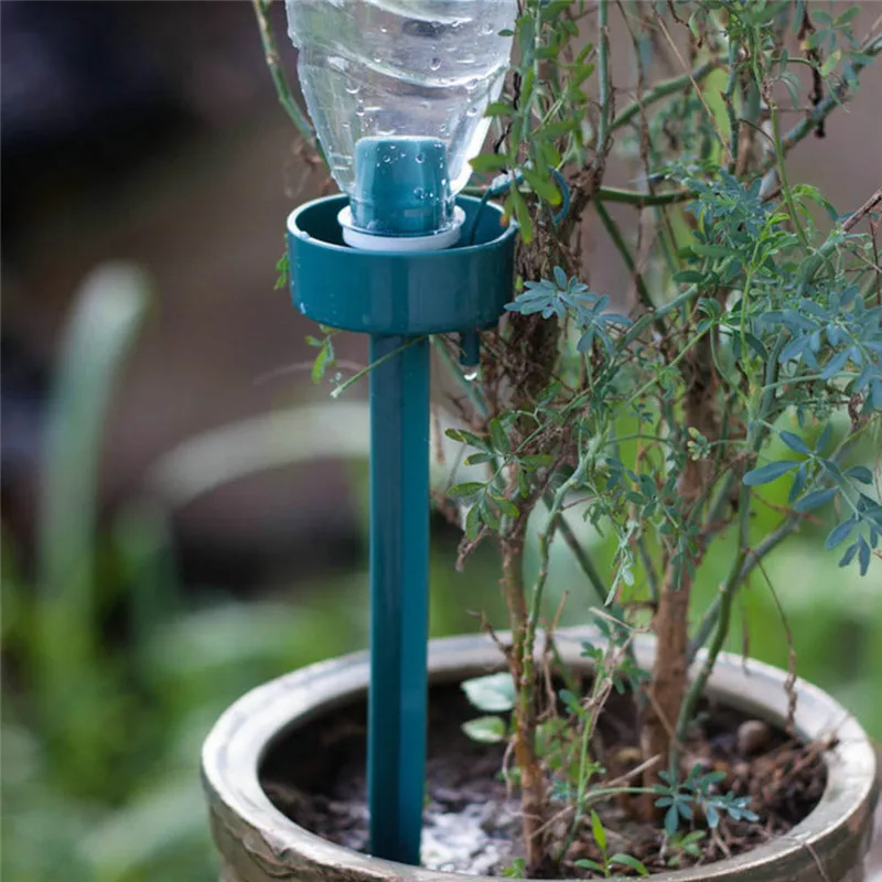 d9909d3e-8a50-4c10-bdf5-e9fe4fdd3d13