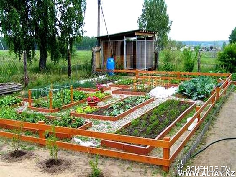 Как лучше расположить грядки на огороде относительно сторон света схема