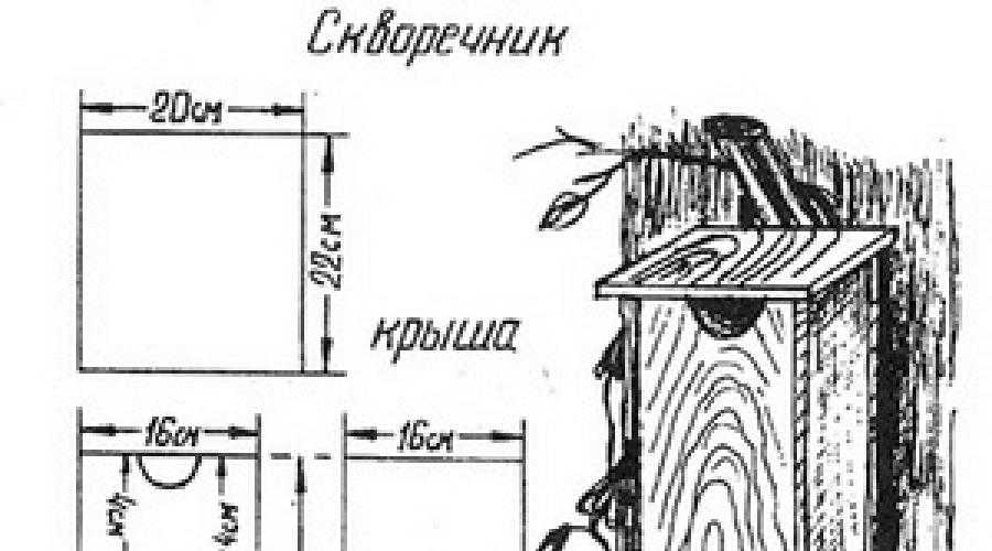 Кормушка своими руками чертеж