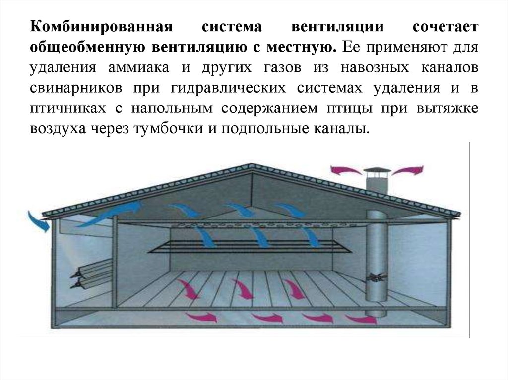 Как работает вентиляция. Смешанная система вентиляции схема. Вентиляция в животноводческих помещениях. Комбинированная система вентиляции. Местная и общеобменная система вентиляции.