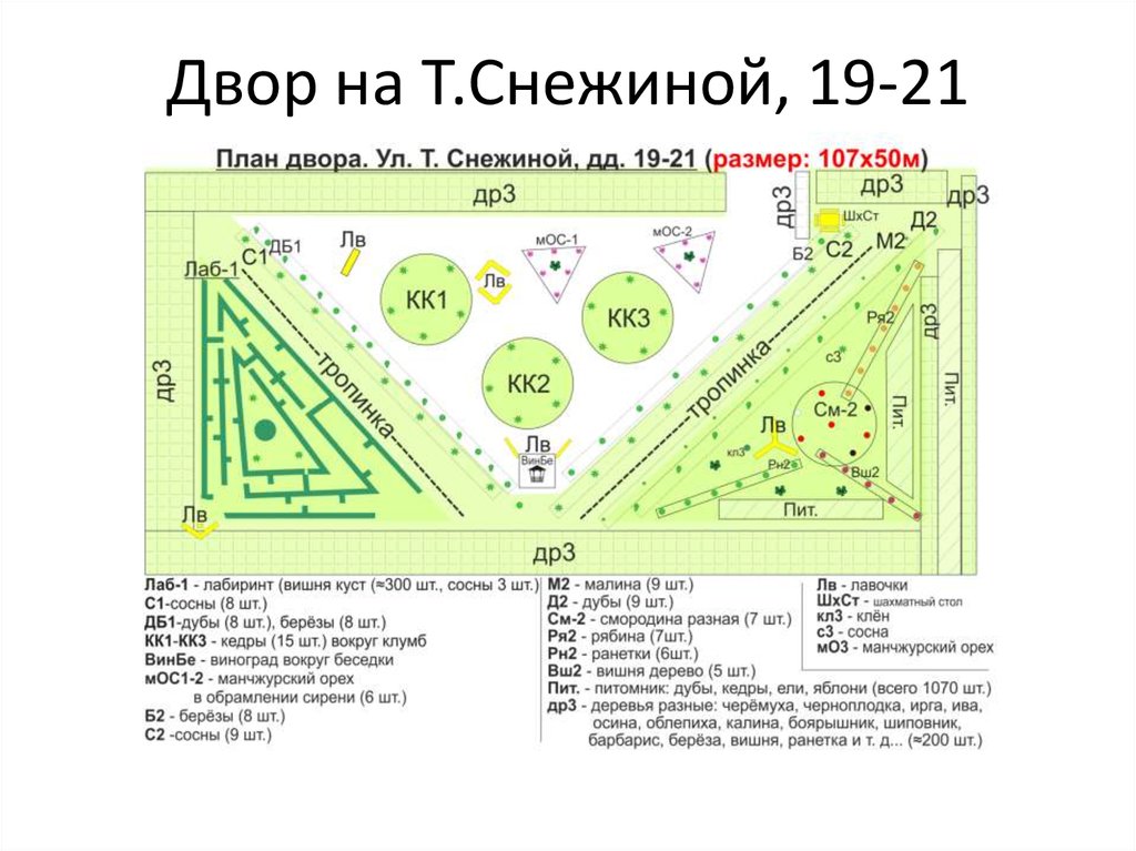 План местности теория