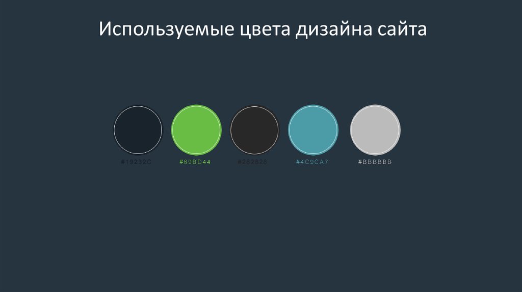 Цвета для сайта. Цвета для дизайна сайта. Цветовой дизайн сайта. Цветовые стили дизайна web-сайта.