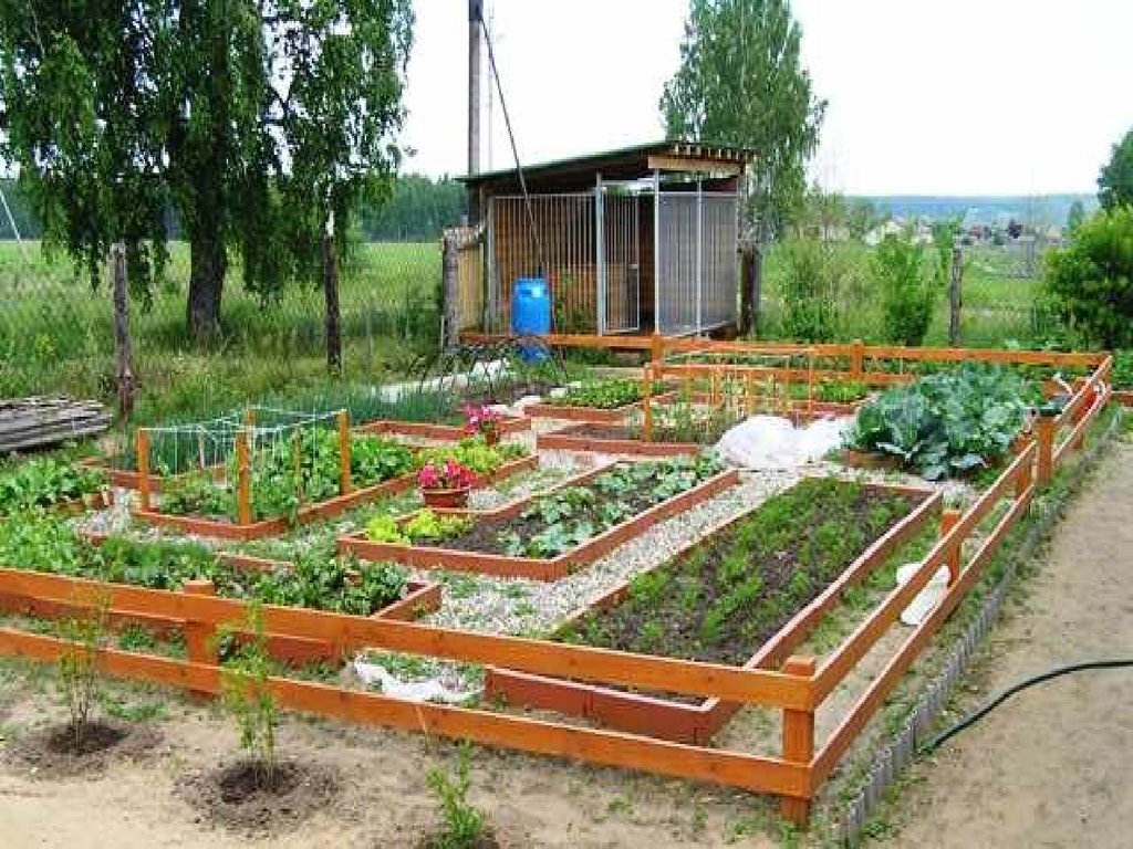 Схема грядок на огороде фото