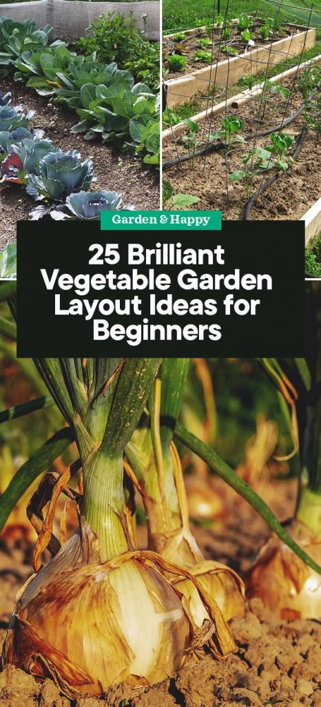 25 Brilliant Vegetable Garden Layout Ideas for Beginners