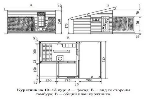 Чертежи курятника на 20 кур зимний вариант с размерами проект