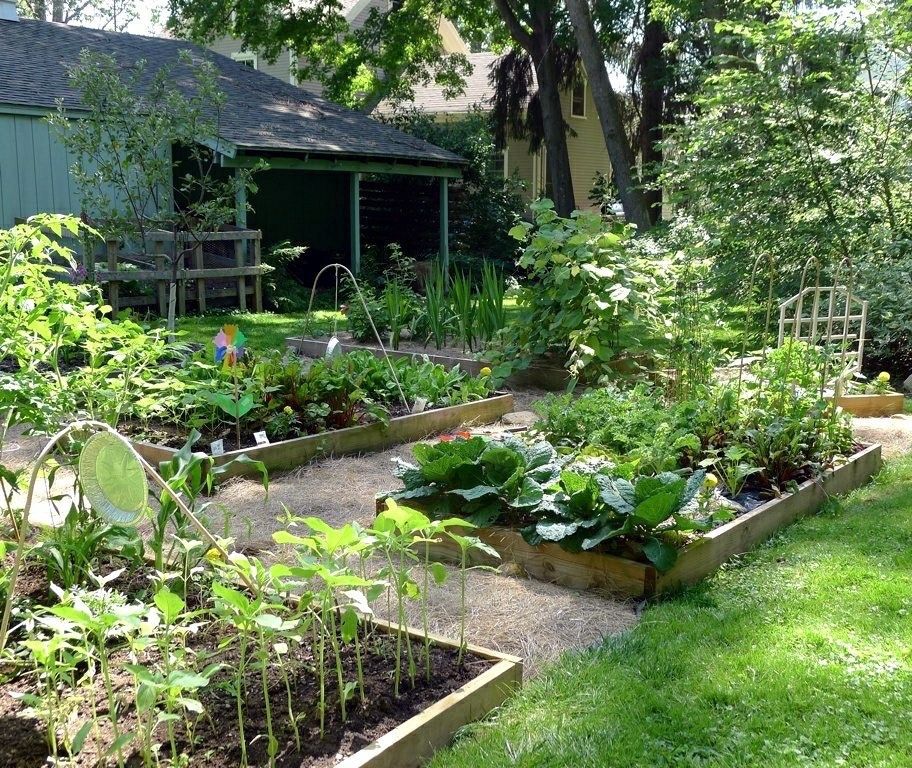 Ландшафтный дизайн садового участка 6 соток фото с плодовыми и огородом
