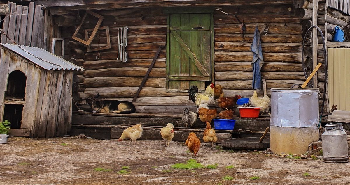 Проект деревенский двор