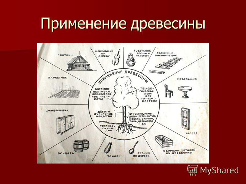 Комплексное использование древесины. Использование древесины. Схема использования древесины. Применение дерева. Использование древесины человеком.