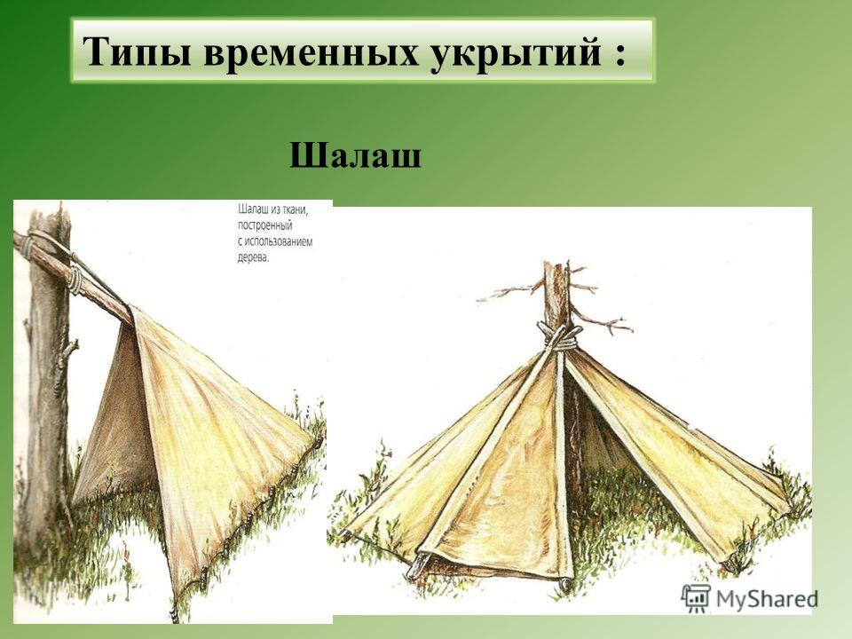 Виды шалашей в лесу в картинках