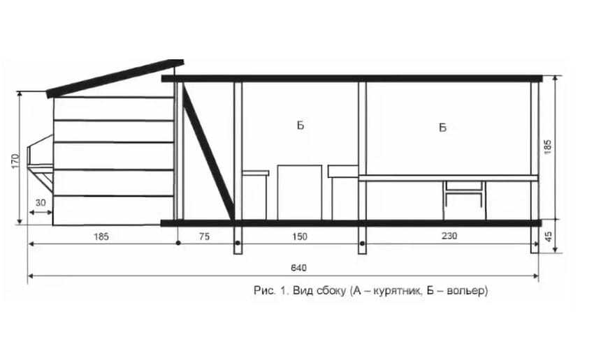 Чертежи курятника на 20 кур зимний вариант с размерами проект