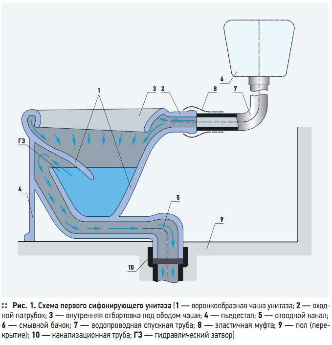Схема унитаза в разрезе фото