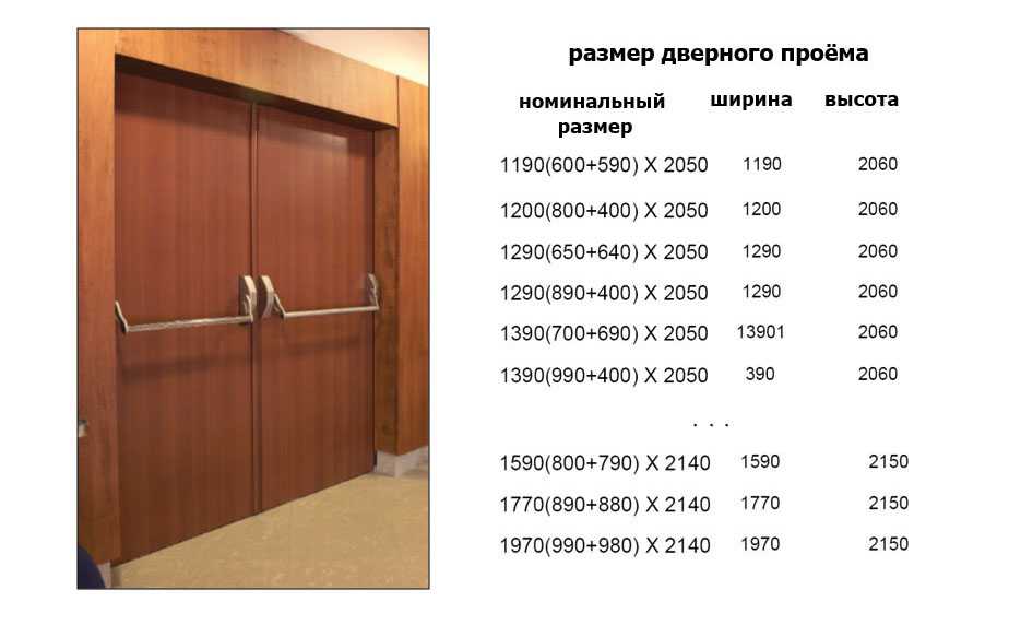 Общие сведения о стандартных размерах дверей из стальной линии