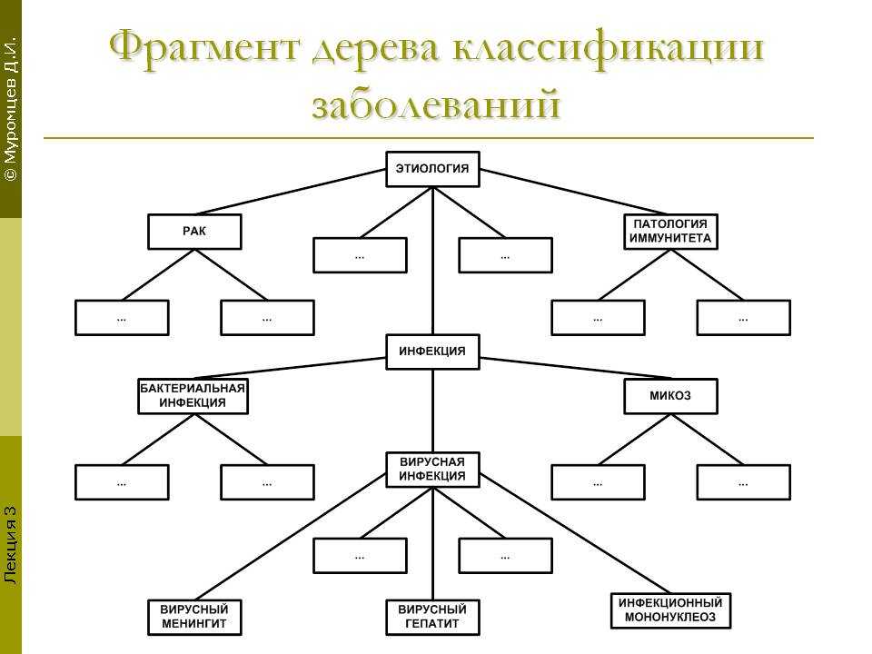 Классификация деревьев