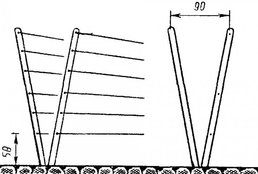 Опоры для винограда схема и размеры фото