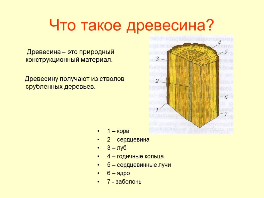 Проект древесина 5 класс. Древесина как конструкционный материал. Сердцевинные лучи древесины. Дерево как конструкционный материал. Древесина как природный конструкционный материал 6 класс.