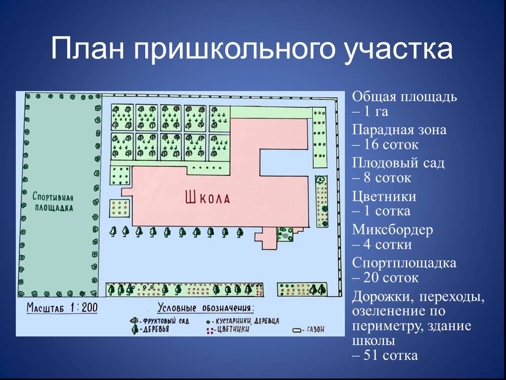 Нарисовать план местности своего двора