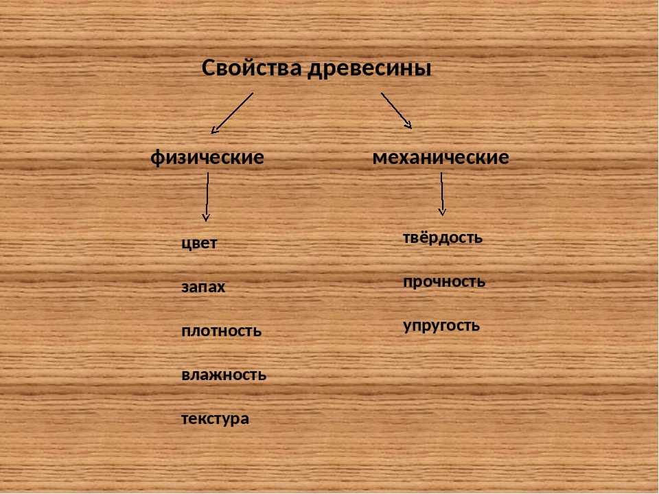 Технология 5 класс дерево. Качество древесины. Характеристика древесины. Свойства древесины. Механические виды древесины.