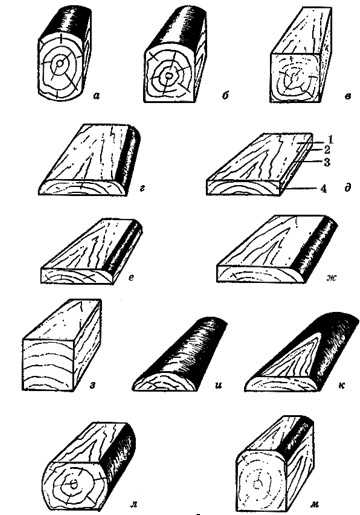 Поперечное сечение бревна