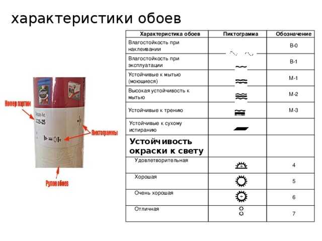 Обои какие бывают их характеристика