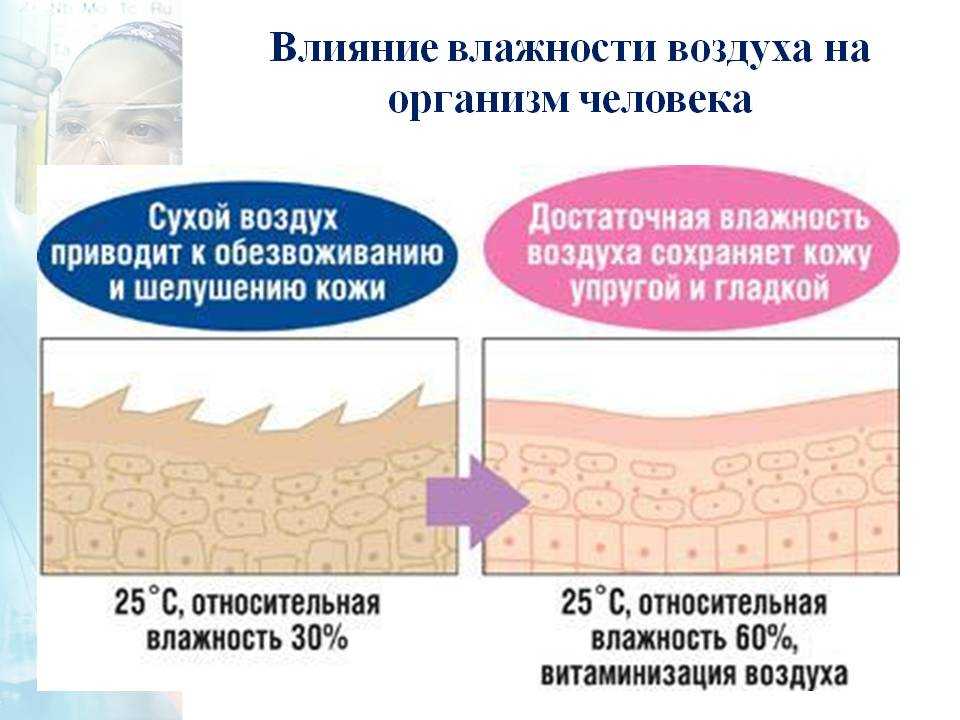 Влияние влажности воздуха на климат. Влияние влажности воздуха на организм человека. Влияние влажность на бумаги. Сухой воздух в квартире последствия для человека.