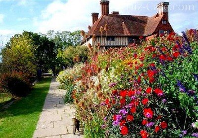 Живые изгороди из высокорослых растений Живые изгороди из высокорослых растений