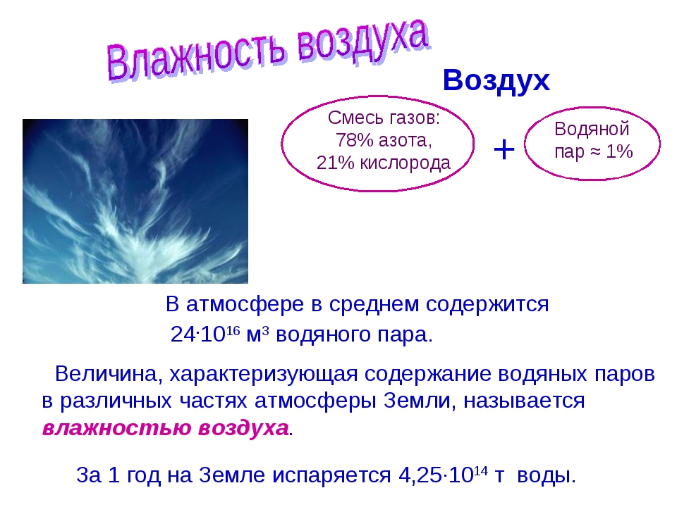 Влажность воздуха 6 класс география презентация