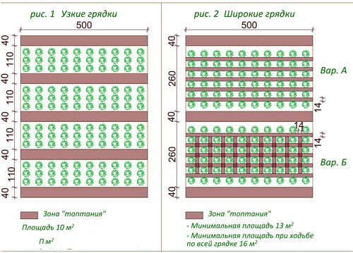Размер грядок на огороде схема