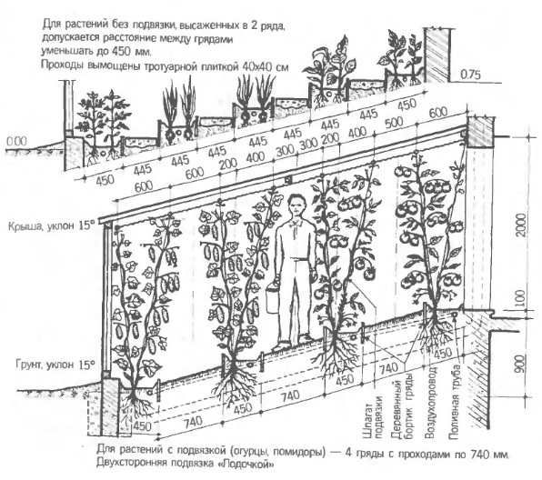 Схема грядок в теплице