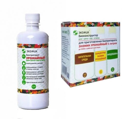 Экомик Урожайный