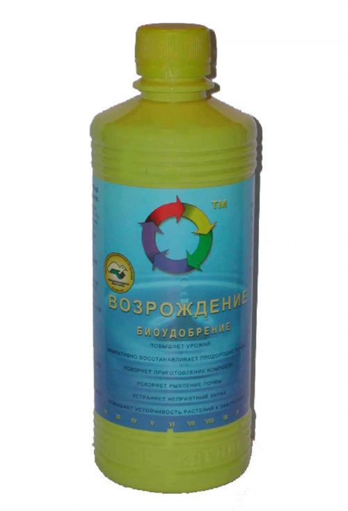 Возрождение