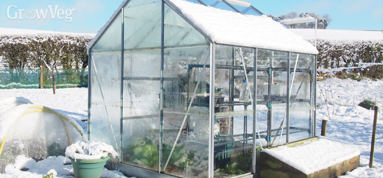 “Greenhouse