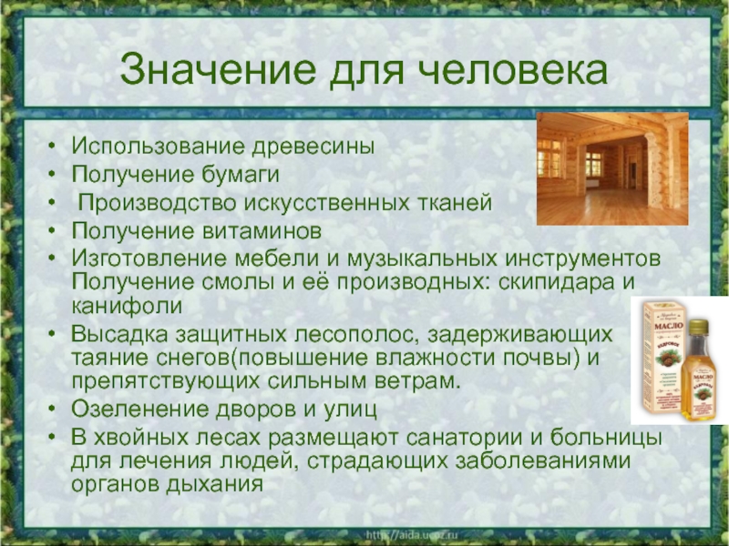 Применение древесины. Применение дерева. Применение человеком древесины. Как человек использует древесину. Значение древесины.