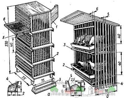Чертеж мини курятника