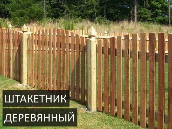 Штакетник фото виды