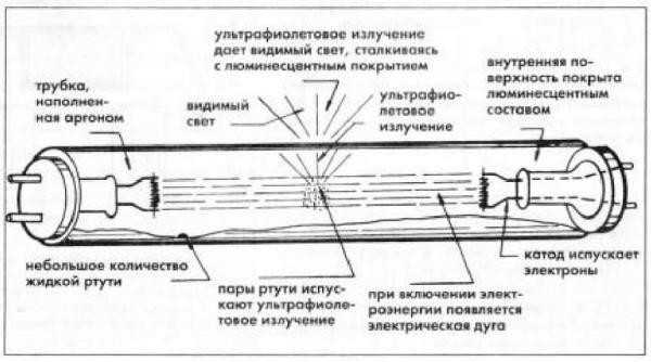 Лампа схематичная картинка