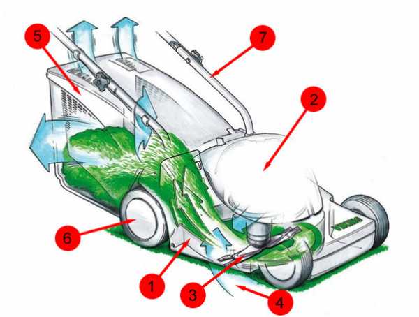 Газонокосилка устройство схема