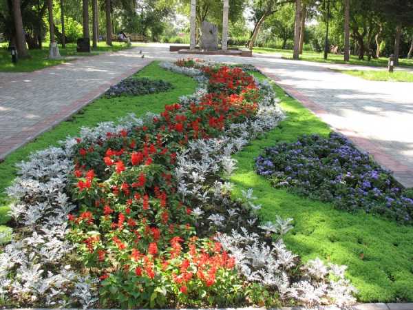 Городские клумбы и цветники фото с названиями