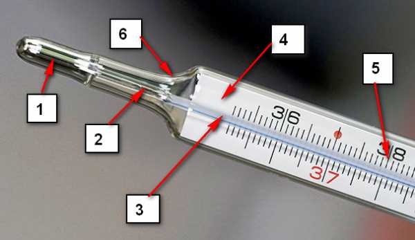 Где в градуснике ртуть находится схема