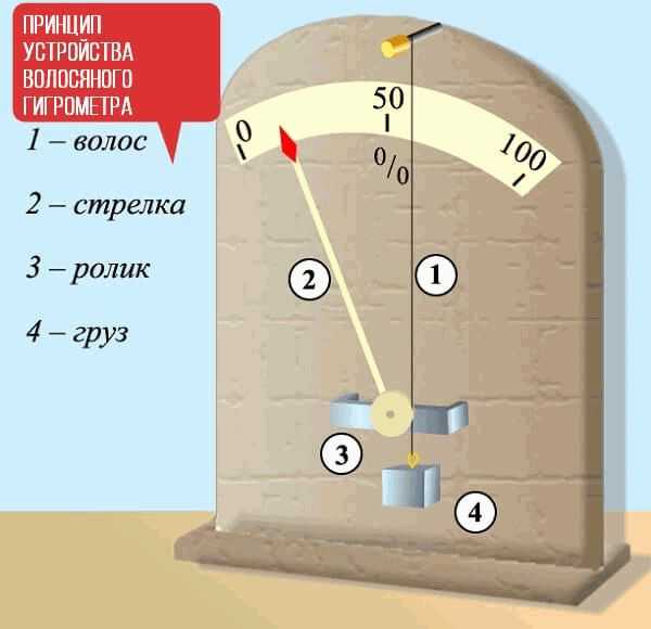 На рисунке представлены два термометра используемые для определения относительной влажности воздуха