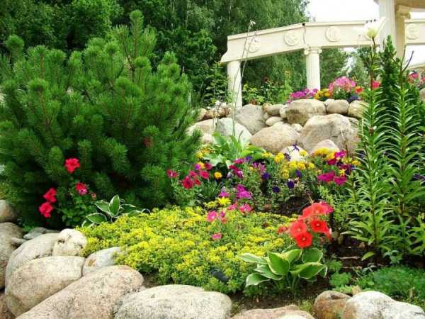 Как обустроить участок возле частного дома фото 3 сотки