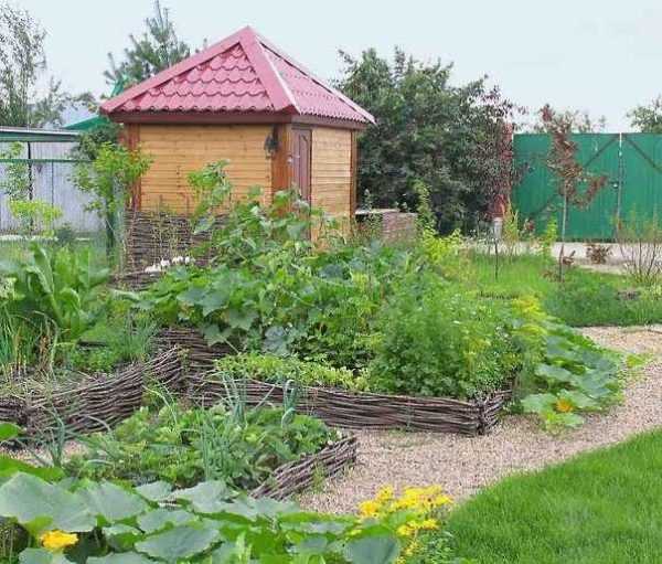 Дизайн в огороде своими руками фото красиво и очень быстро