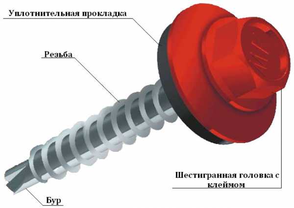 Как правильно прикрутить профлист на крышу саморезами фото