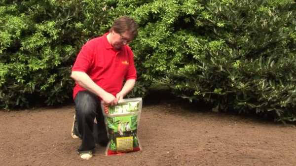 Как правильно посадить газон своими руками – Как сеять газонную траву правильно — пошаговая инструкция с фото и видео