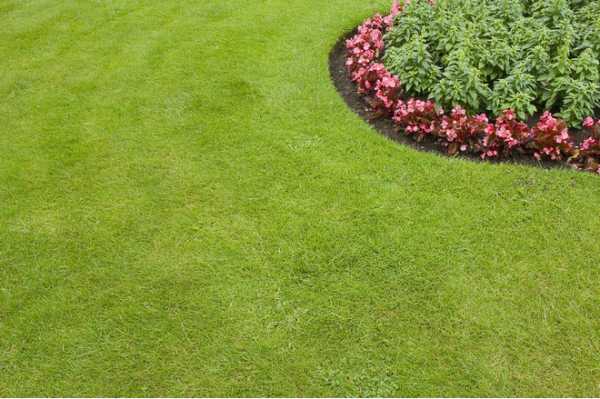 Как правильно засеять газонную траву на даче – Как сеять газонную траву правильно — пошаговая инструкция с фото и видео