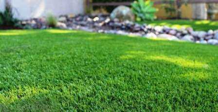 Как правильно засеять газонную траву на даче – Как сеять газонную траву правильно — пошаговая инструкция с фото и видео