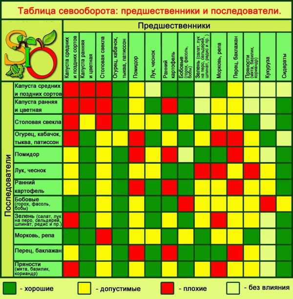 Как лучше расположить грядки на огороде относительно сторон света схема