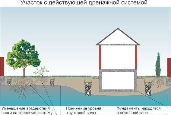 Дренаж на дачном участке своими руками схема