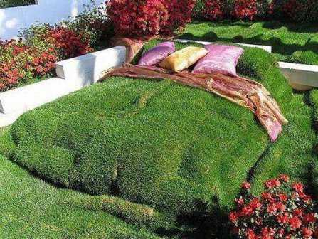 Как украсить газон возле дома летом – как правильно делать газон на даче 45 фото примеров