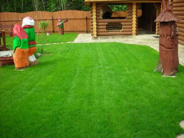 Как украсить газон возле дома летом – как правильно делать газон на даче 45 фото примеров
