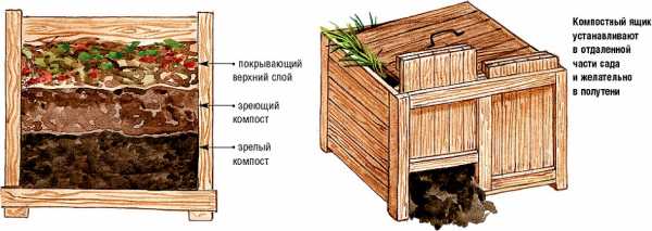 Компостная яма своими руками на даче из дерева чертежи и фото